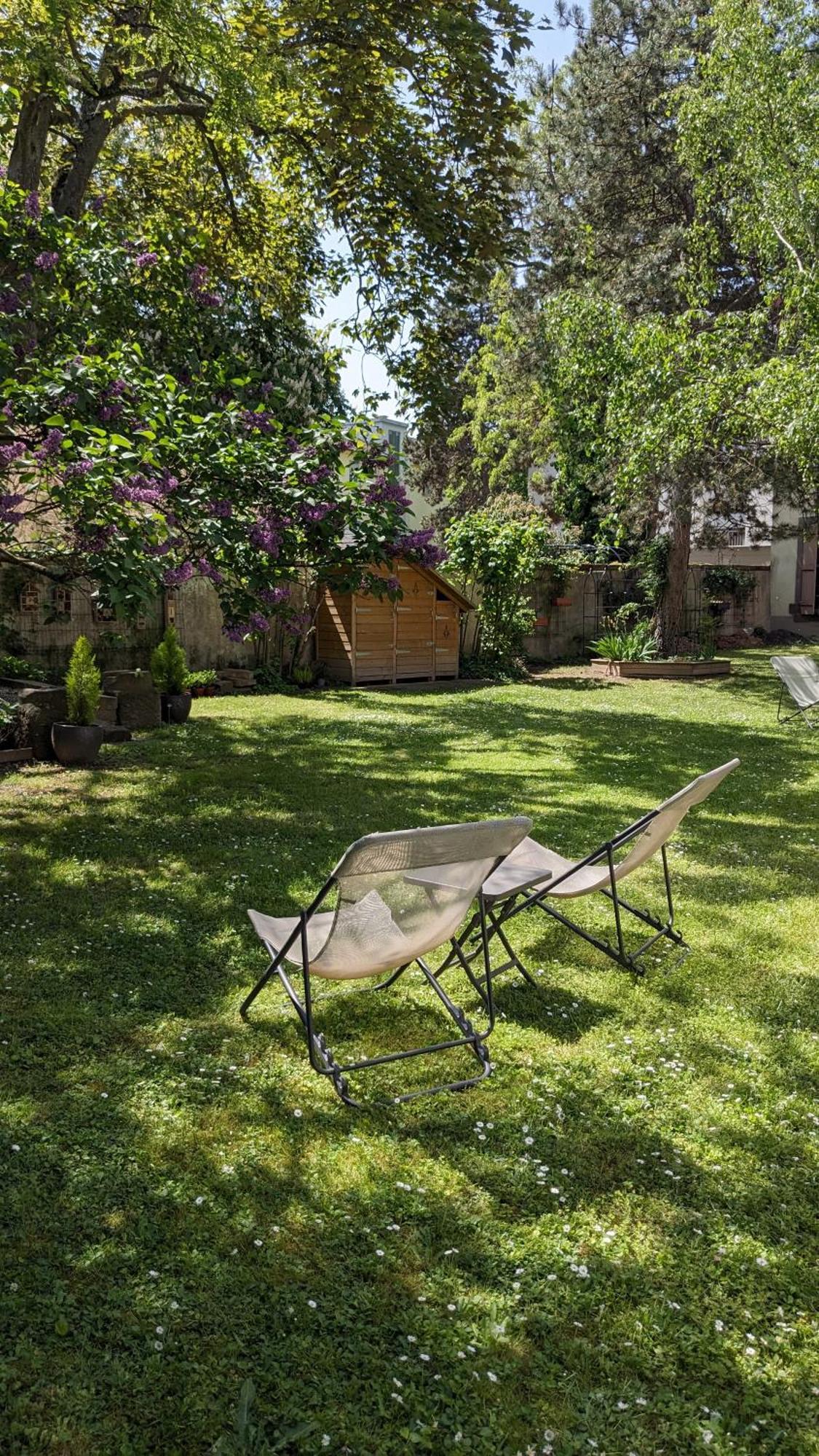 コルマールLe Petit Parcアパートメント 部屋 写真