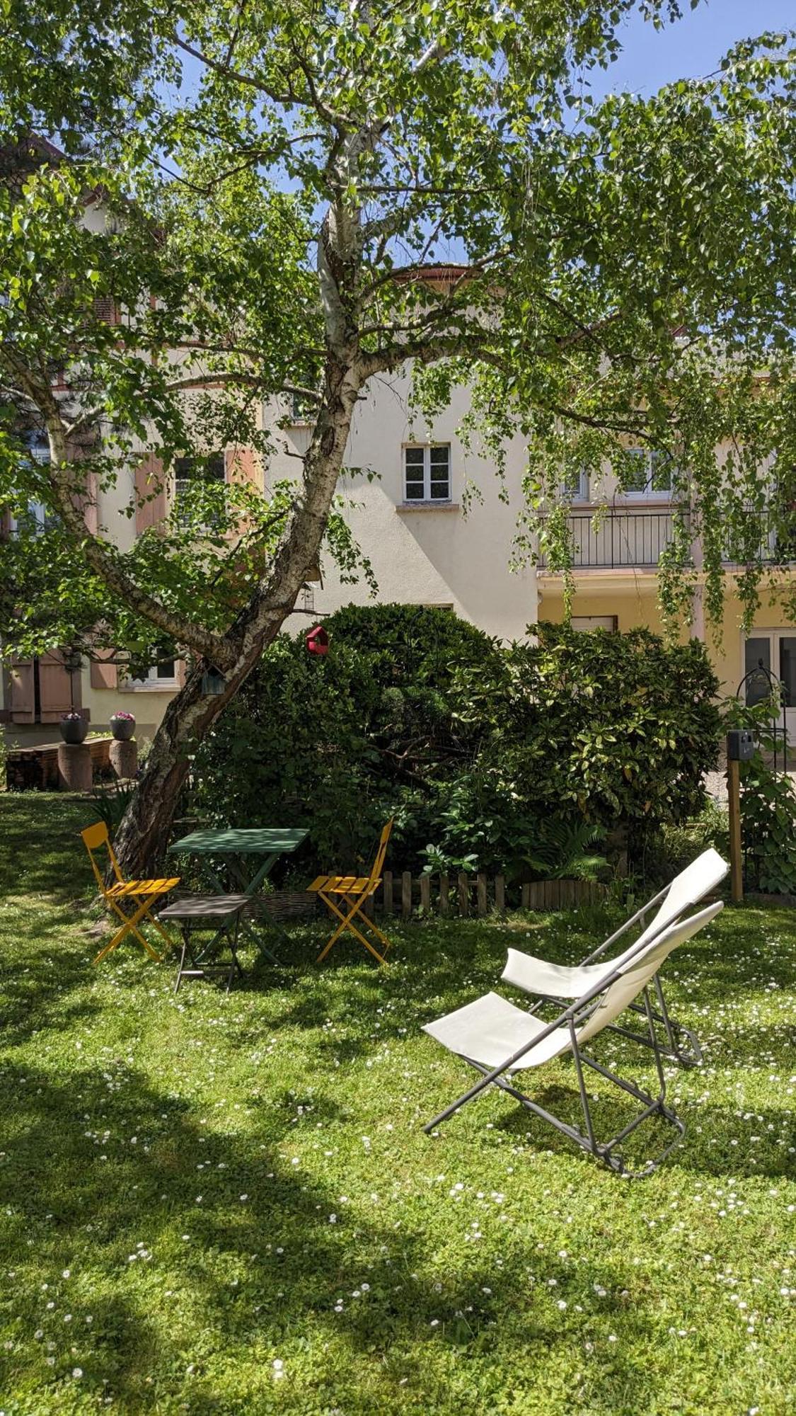 コルマールLe Petit Parcアパートメント 部屋 写真